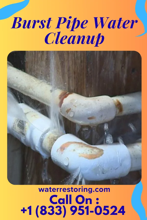 Burst Pipe Water Cleanup in Redmond, WA
