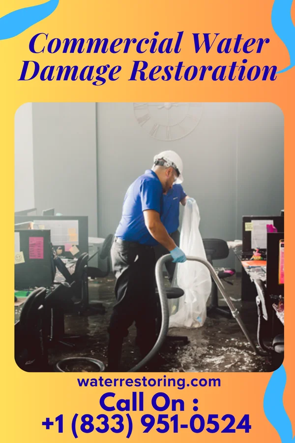 Commercial Water Damage Restoration in Redmond, WA