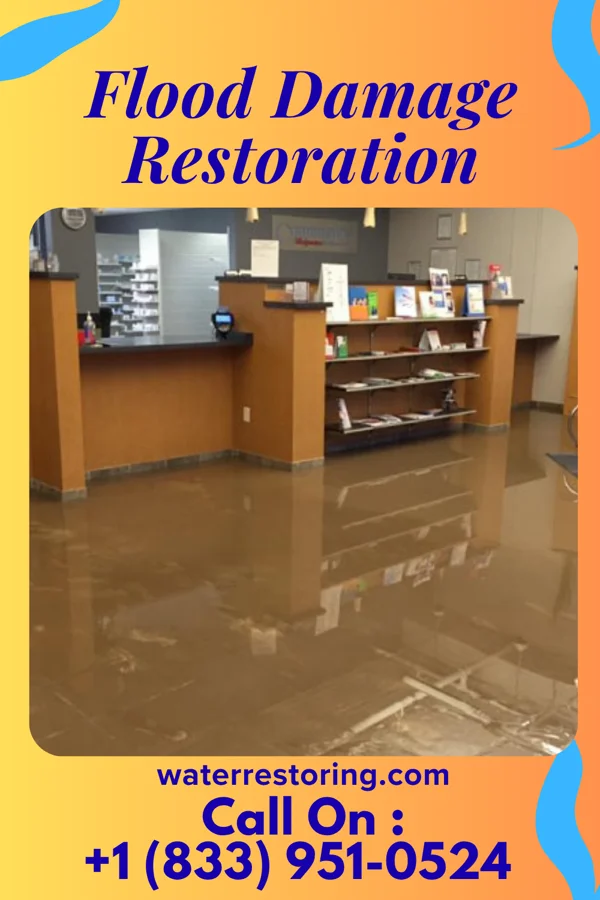 Flood Damage Restoration in Redmond, WA