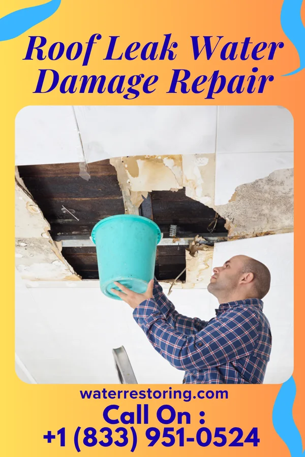 Roof Leak Water Damage Repair in Redmond, WA