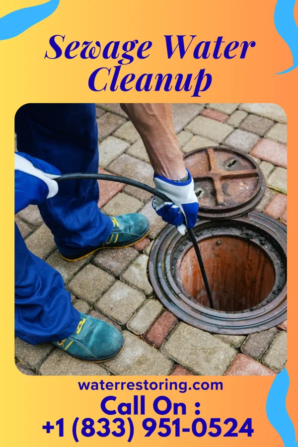 Sewage Water Cleanup in Redmond, WA